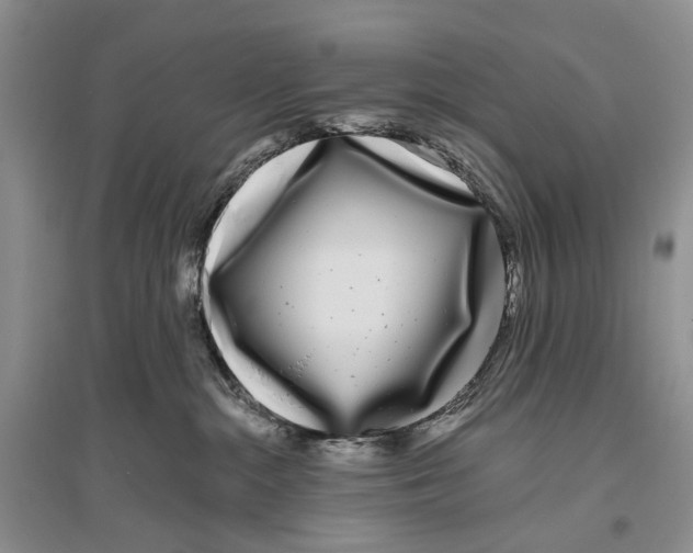 X0000096430284200802211154