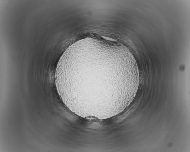 X0000096430285200802211154
