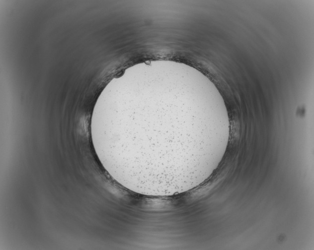 X0000096430286200802211154