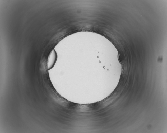X0000096430287200802211154