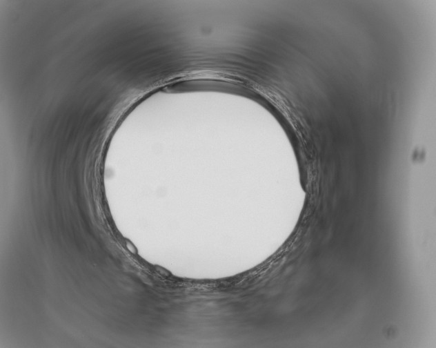 X0000096430289200802211153