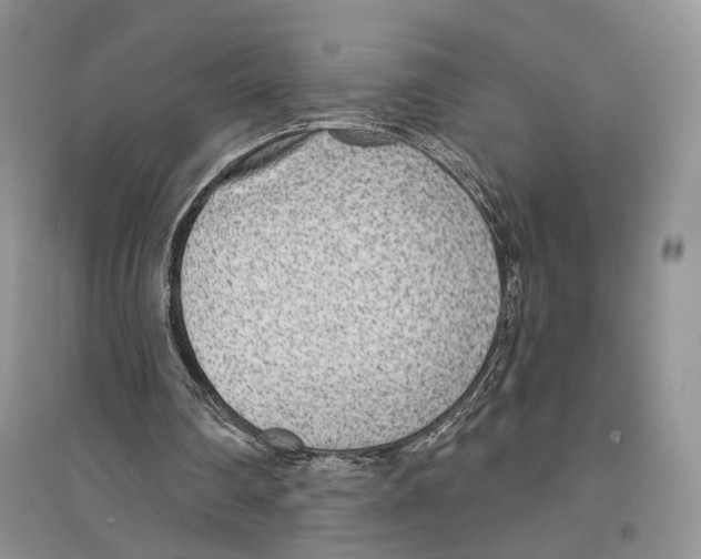 X0000096430290200802211153