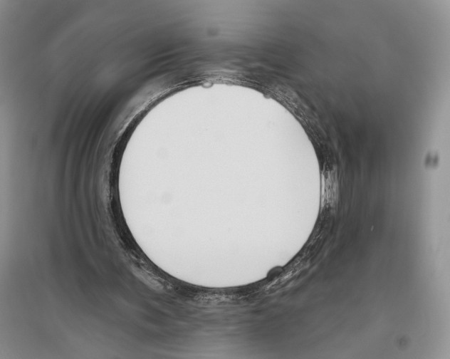 X0000096430291200802211153