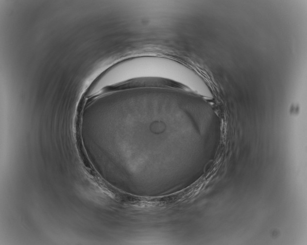 X0000096430292200802211153