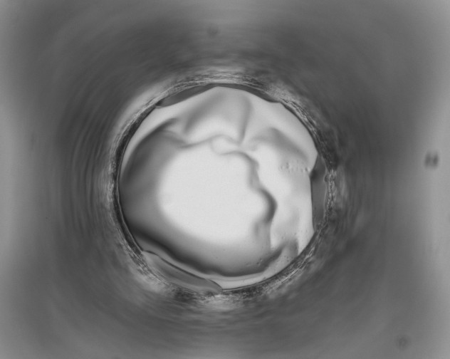 X0000096430293200802211153