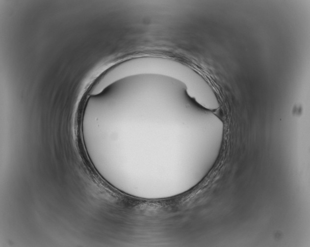 X0000096430294200802211153