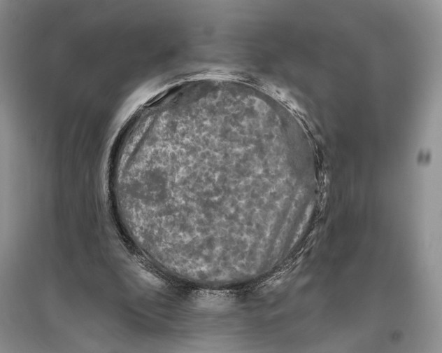 X0000096430296200802211153