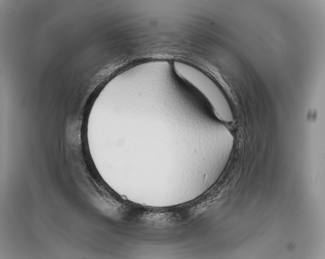 X0000096430299200802211153
