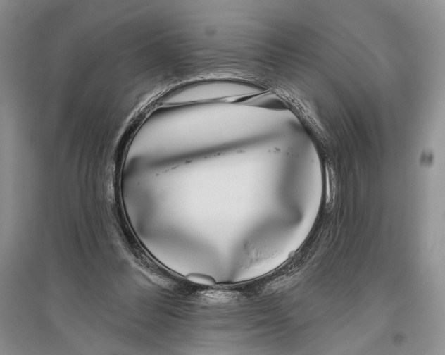 X0000096430300200802211153
