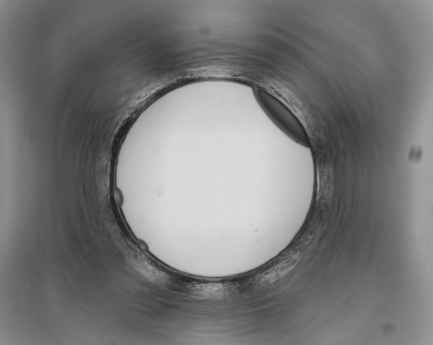 X0000096430301200802211153