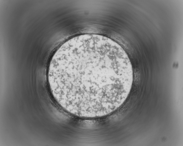 X0000096430302200802211153
