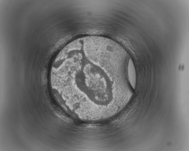 X0000096430303200802211153