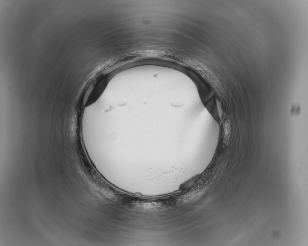 X0000096430304200802211153
