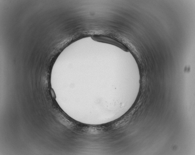 X0000096430305200802211153
