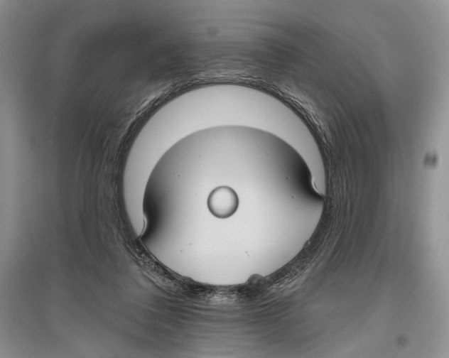 X0000096430308200802211153