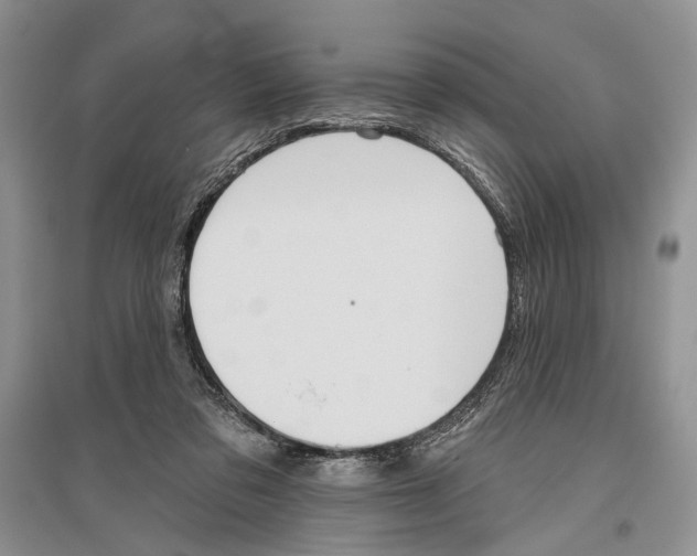 X0000096430309200802211153