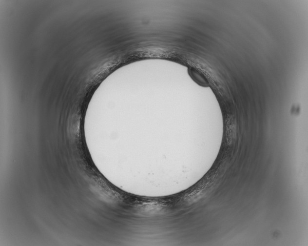X0000096430310200802211153