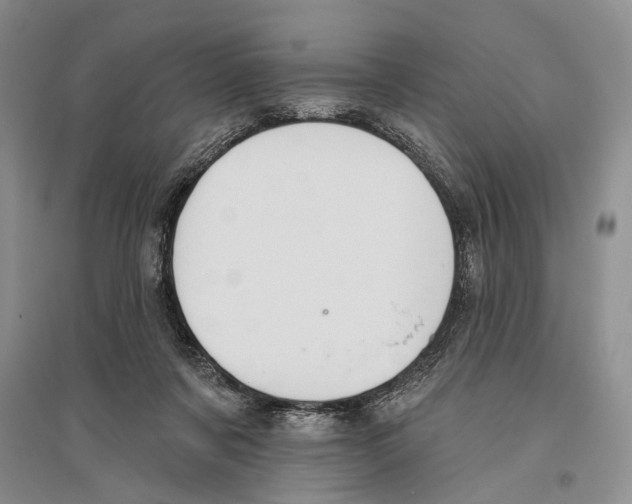 X0000096430311200802211153
