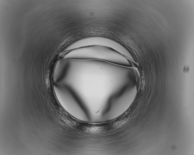 X0000096430312200802211153
