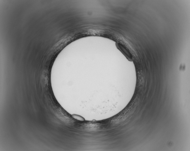 X0000096430313200802211153