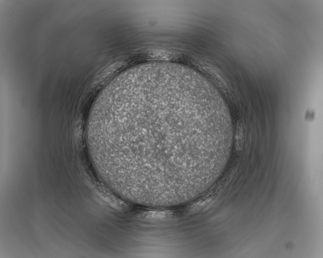 X0000096430314200802211153