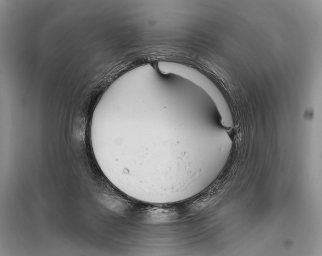 X0000096430315200802211153