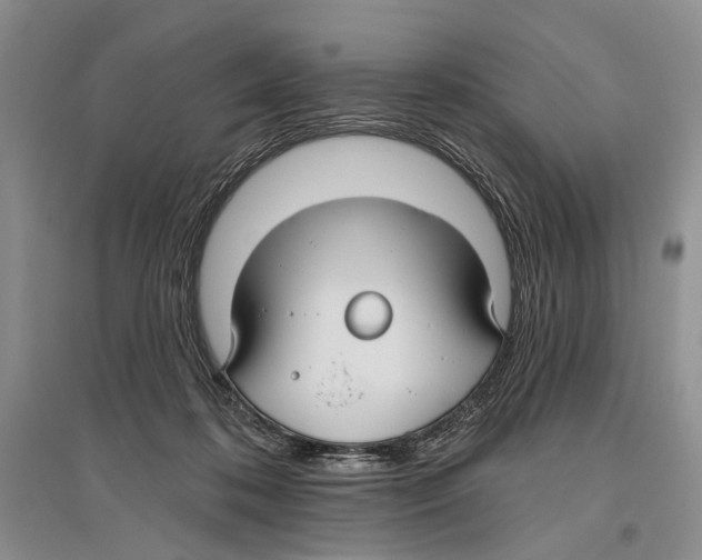 X0000096430316200802211153