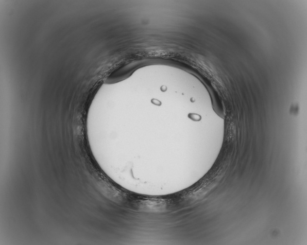 X0000096430317200802211153