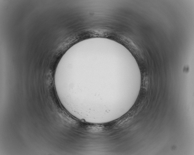 X0000096430318200802211153