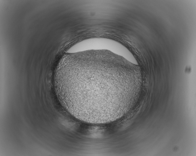 X0000096430319200802211153