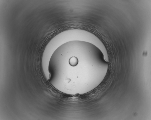 X0000096430320200802211153