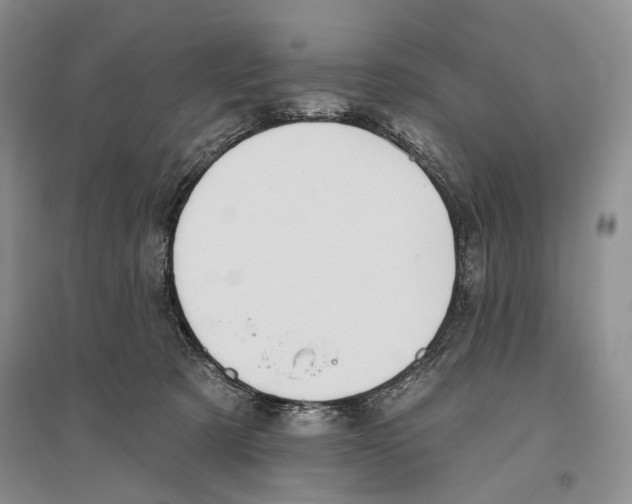 X0000096430321200802211153