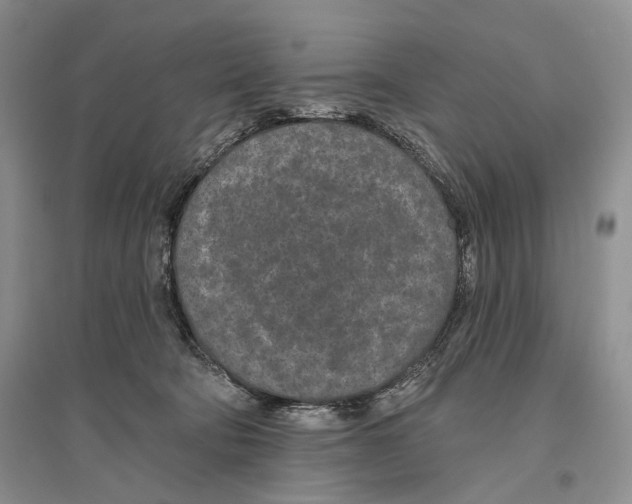 X0000096430322200802211153