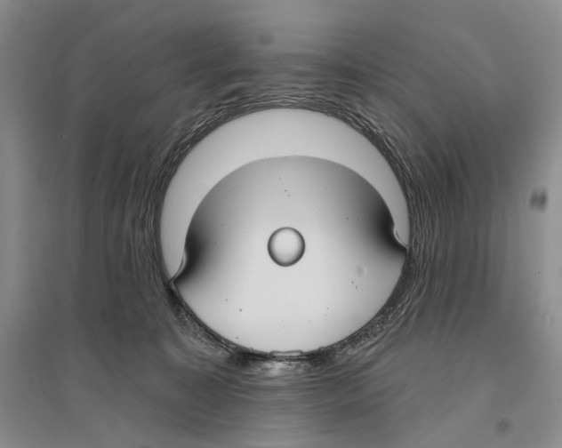 X0000096430323200802211153