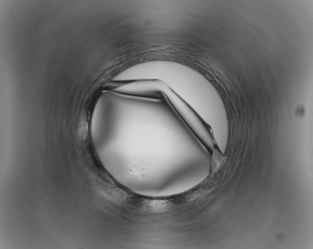 X0000096430324200802211153