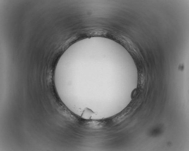 X0000096430326200802211153