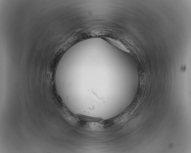 X0000096430327200802211153