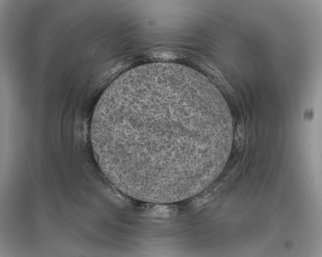 X0000096430330200802211153