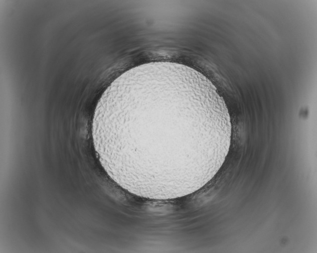 X0000096430331200802211153