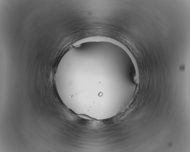 X0000096430333200802211153