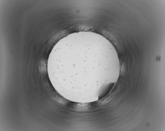 X0000096430335200802211153