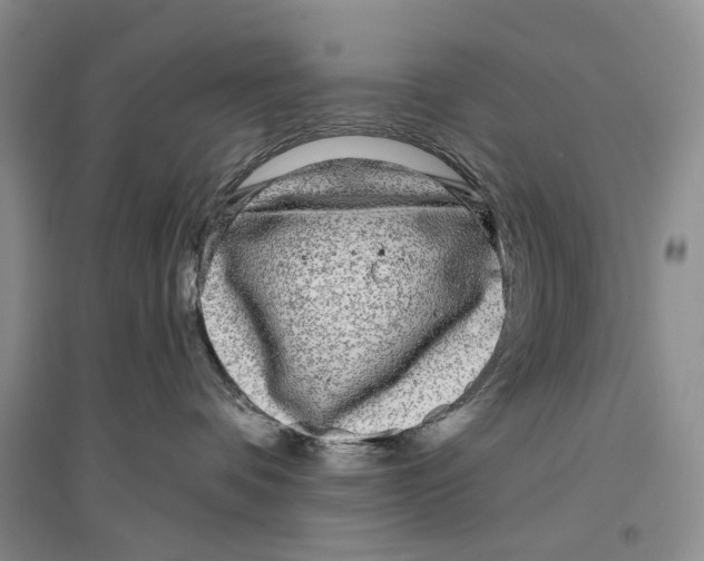 X0000096430336200802211153