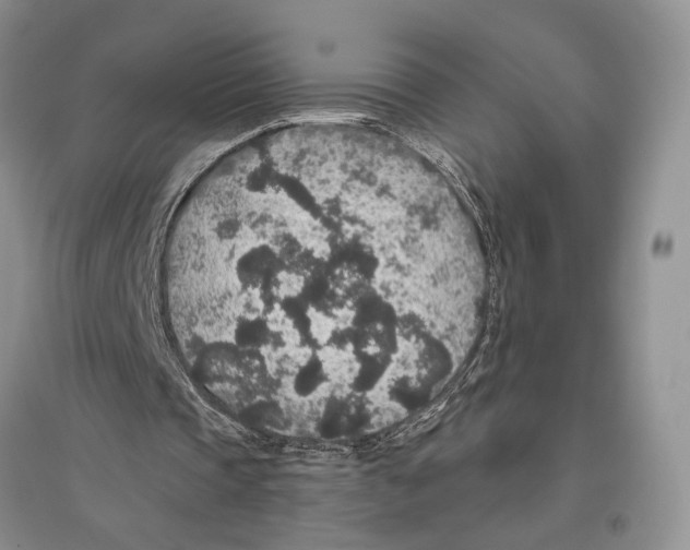 X0000096430337200802211152