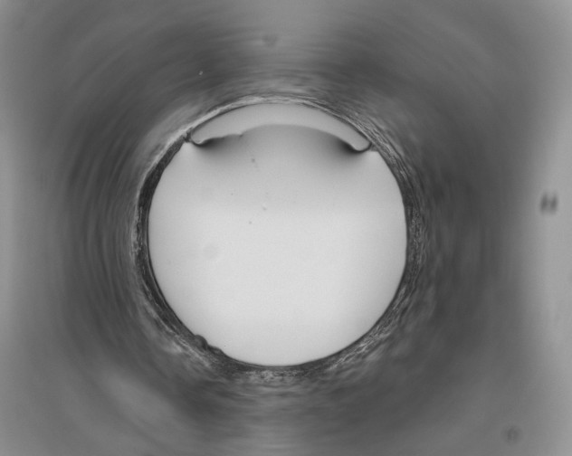 X0000096430338200802211152