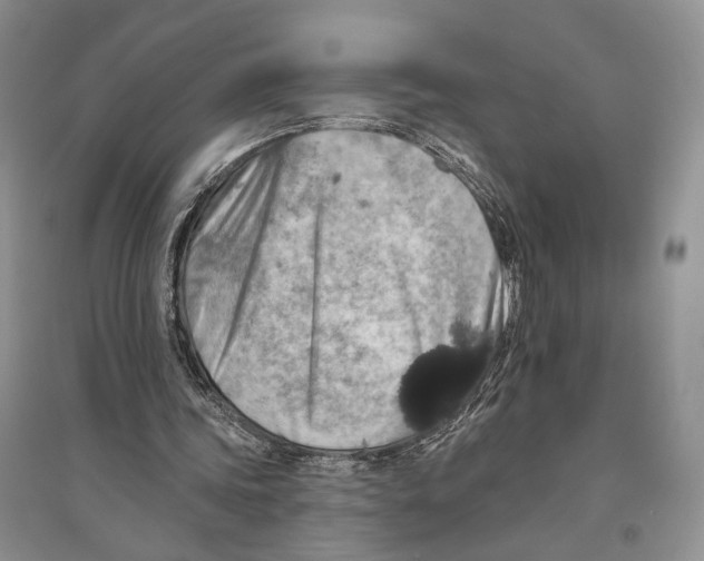 X0000096430339200802211152