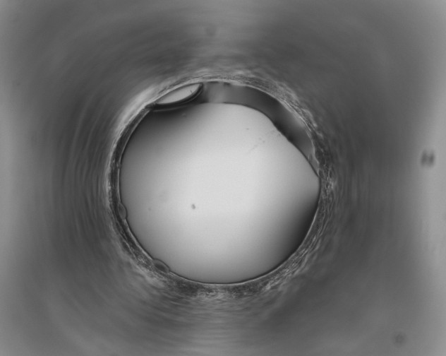X0000096430340200802211152