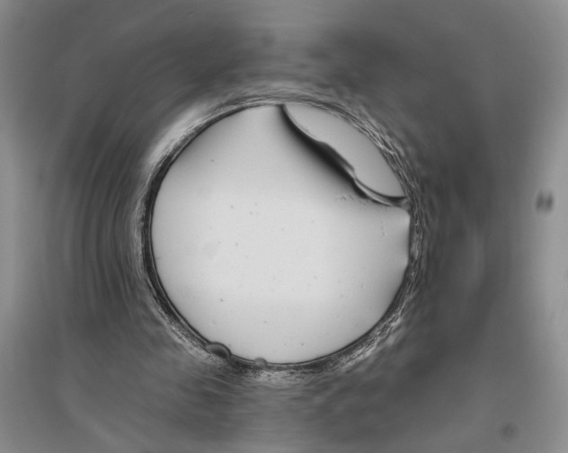 X0000096430341200802211152