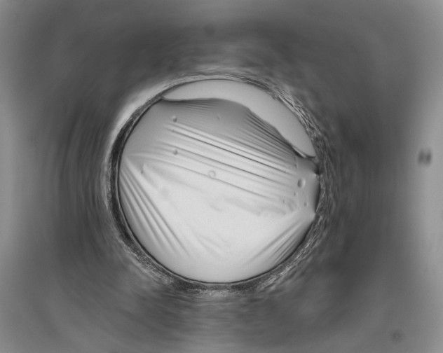 X0000096430342200802211152