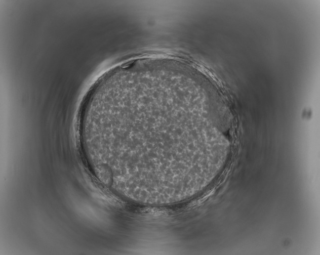 X0000096430343200802211152
