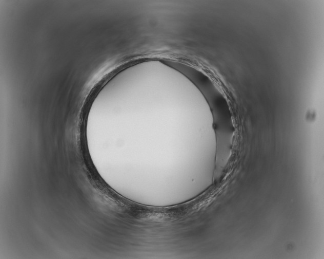X0000096430344200802211152